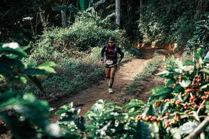 BIB: 
                            <button type="button" onclick="openModal(25856894)" class="btn btn-primary btn-sm float-right btn-popup" data-toggle="modal" data-target=".modal-high-quality">
                        <i class="fas fa-shopping-cart"></i> Add to Cart
                    </button>
                                            <button type="button" onclick="isThisMe(25856894, true)" class="btn btn-success btn-sm float-right btn-popup btn-isme hidden" data-toggle="tooltip" data-placement="bottom" title="นี่คือรูปของคุณใช่ไหม คลิกที่นี่เพื่อเอาเข้าอัลบั้ม">
                        <i class="fas fa-plus"></i> Add to album
                    </button>
                    <button type="button" onclick="isThisMe(25856894, false)" class="btn btn-warning btn-sm float-right btn-popup btn-isnotme hidden">
                        <i class="fas fa-ban"></i> Remove from album
                    </button>